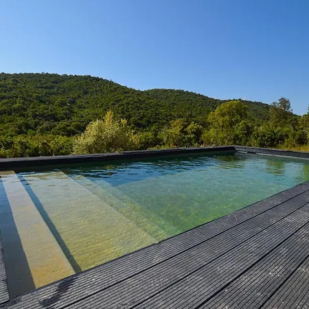 Albitru Holiday home